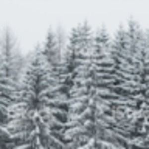 Meet your Posher, Claire